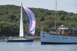 sappire gbr7999n chico whyw24 sun 750 7727